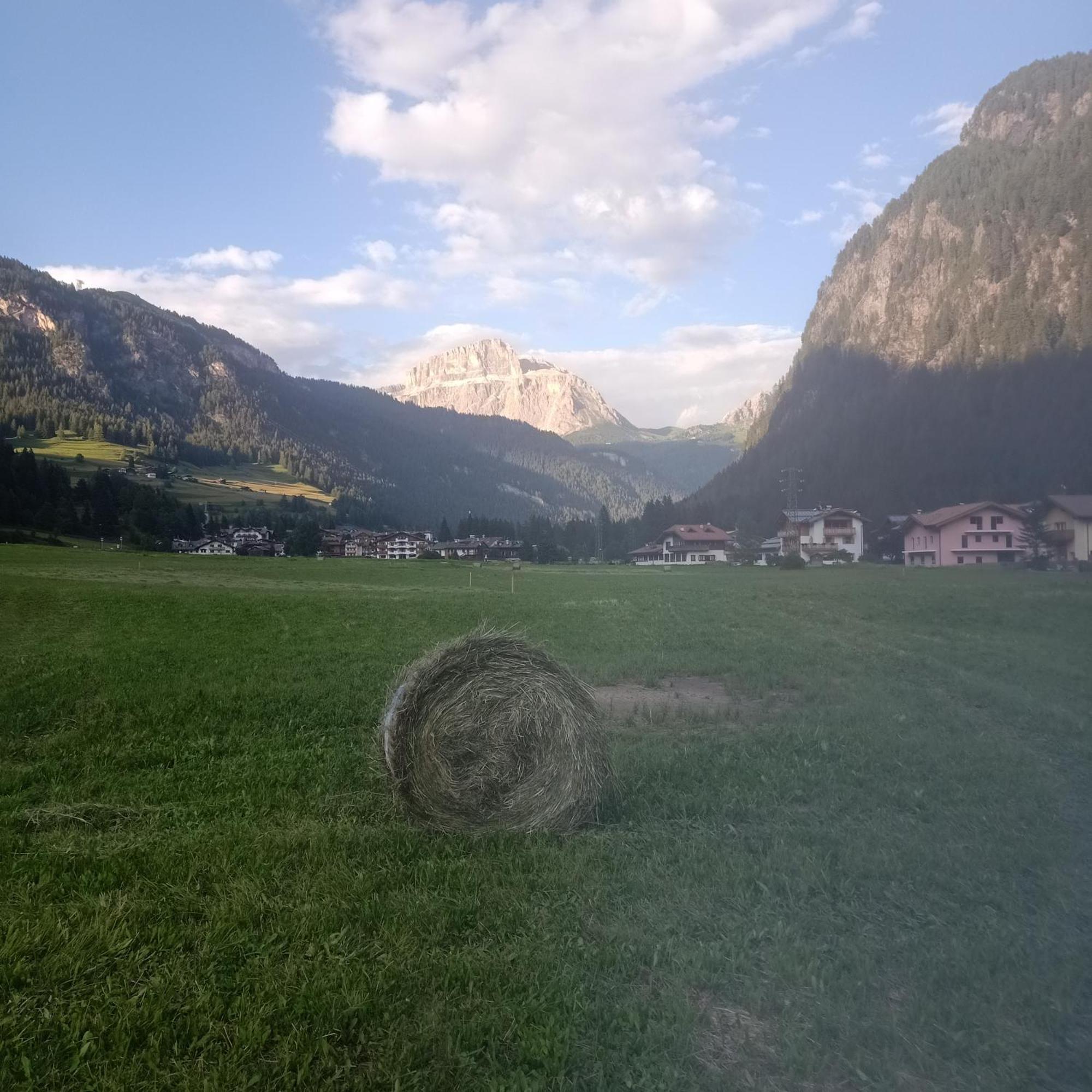 Casamau Studio Campitello di Fassa Ngoại thất bức ảnh